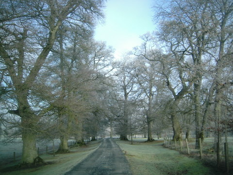 Ballyduff Avenue.JPG